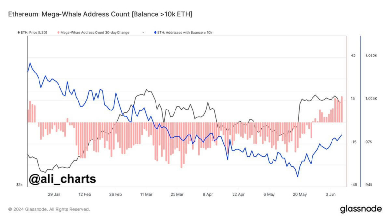 SEC медлит с запуском первых спотовых ETF на Эфириум в США. Когда стоит ждать их листинга?